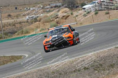 media/May-03-2025-Lucky Dog Racing (Sat) [[206de64b9d]]/Turn 4 B (1150am-130pm)/